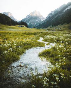 a small stream running through a lush green field with mountains in the backgroud