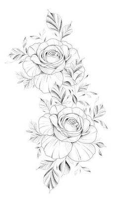 a drawing of three roses on a white background