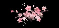 pink flowers floating in the air on a black background