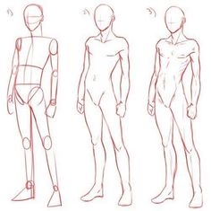 three different views of a man's body and torso, from the front to the back