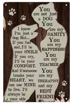 a wooden sign with the words you are not just a dog and paw prints on it