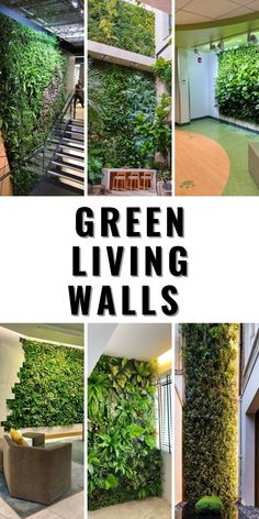 green living walls in an office building