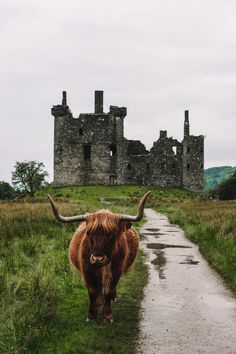 an animal with long horns walking down a dirt road in front of a stone castle