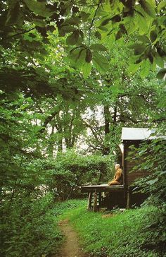 Living Buddhism. Image Zen, Arte Yoga, Meditation Garden, Zen Meditation, Meditation Space, Mindfulness Meditation, Zen Garden, Sacred Space, In The Woods