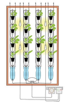 an image of a hydroponant system with plants growing in it's tubes