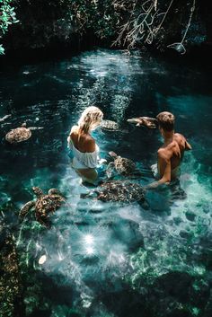 two people in the water with sea turtles