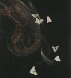 a woman's hair with white butterflies on it