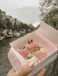 a hand holding a box filled with donuts on top of a river side street