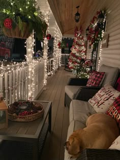 a porch decorated for christmas with white lights and decorations on the deck, dog sleeping in front