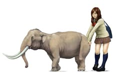 a girl standing next to an elephant with long tusks