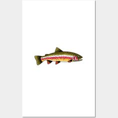 a fish with pink and green stripes on it's body is flying through the air