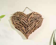 a heart shaped piece of driftwood hanging on a wall next to a potted plant