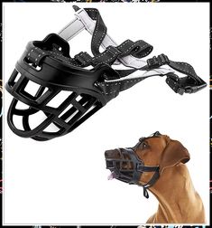 Looking for the best way to keep your furry friend safe and stylish? Check out these top-rated dogs muzzles! Whether you're training your pup or just need some extra security, these muzzles are perfect for any situation. Keep your dog happy and healthy with these must-have accessories. Active Dogs, Dog Activities, Silica Gel, Pet Supplies