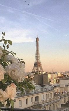 the eiffel tower towering over paris is seen in this view from an apartment balcony