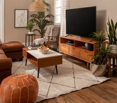 a living room filled with furniture and a flat screen tv on top of a wooden stand