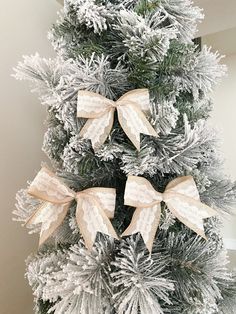 a christmas tree with bows on it