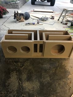 a dog laying on the ground in front of some unfinished pieces of furniture that are being built