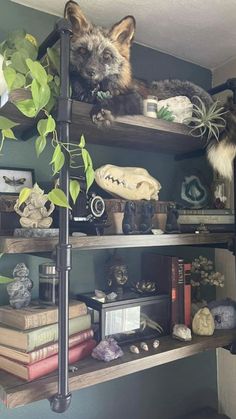 two cats sitting on top of shelves with books and plants in the corner next to them