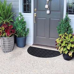 three potted plants sitting on the front steps of a house next to a door