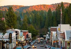 cars are parked on the street in front of buildings and trees with mountains in the background