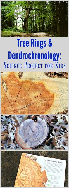 the cover of tree rings and dendrochology science project for kids is shown