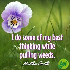 a purple flower sitting in the grass with a quote on it that says, i do some of my best thinking while pulling weeds