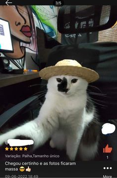 a black and white cat wearing a straw hat on top of it's head