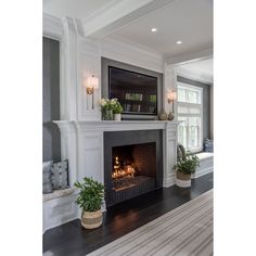 a living room with a fire place in the center and two potted plants on the other side