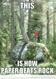 a man standing on top of a large rock in the middle of a wooded area