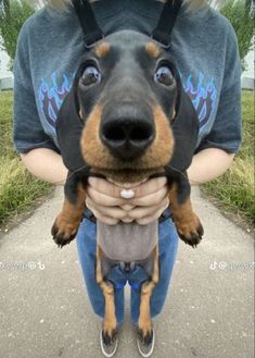 a person holding a small dog in their arms