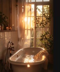 a bath tub sitting in front of a window next to a plant and potted plants