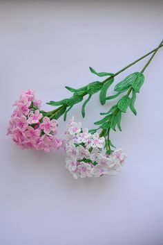 three different types of flowers on a white surface with one pink and the other green