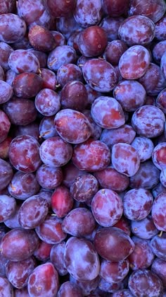 a pile of plums sitting next to each other