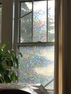 a potted plant sitting in front of a window filled with lots of glass shards