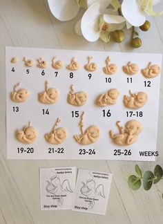 the numbers and symbols for baby's birth are displayed on a sheet of paper