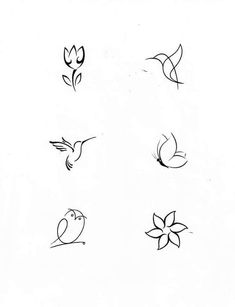 six different types of birds and flowers on a white background with the words love written in black ink