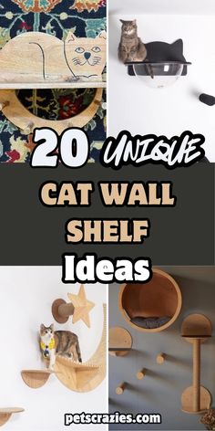 20 unique cat wall shelf ideas that are easy to diy and great for cats