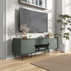 a living room scene with focus on the entertainment center and potted plant in the corner