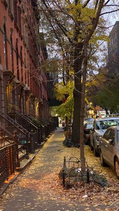 cars parked on the side of a city street next to tall brick buildings and trees