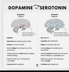 the differences between dopamaine and serotonine