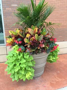 a large potted plant sitting on top of a sidewalk next to a brick building