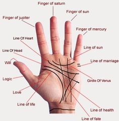 ‪#‎Palmistry‬ is an art of reading palm to predict about the human behavior and personality. Palmistry is an ancient science and it was used by the ‪#‎astrologers‬ in old time to provide the information about new born baby and other people. see more: http://www.ivaindia.com/palmistry.php Alfabeto Viking, Palm Reading Charts, Hand Reading, Palmistry Reading, Reflexology Foot Chart, Palmistry Hand, Hand Mudras, Palm Reader, Reading Charts