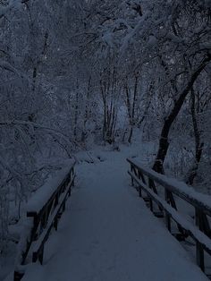 a snowy path in the woods with trees