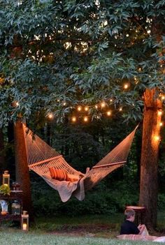 an image of a hammock in the woods with lights strung from trees and benches