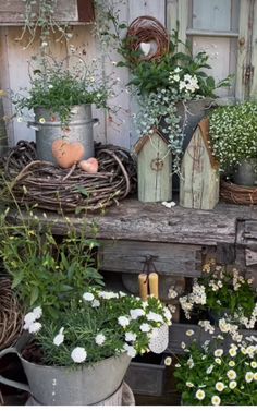 many potted plants are sitting on a table