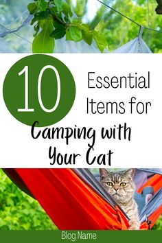 a cat sitting in a hammock with the text 10 essential items for camping with your cat