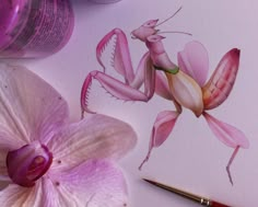 a drawing of a praying mantissa on paper next to flowers and paintbrushes