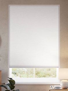 a living room with a large window covered in white blinds and a plant next to it