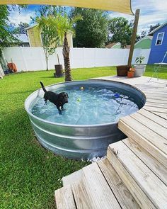 a dog is standing in the middle of an outdoor pool that has been built into some grass