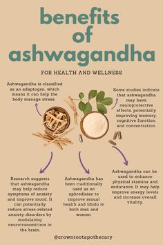 Explore the stress-relieving, mood-enhancing, and immune-boosting benefits of our lovely plant ally, Ashwagandha. Discover how this ancient herb can support your well-being naturally. #AshwagandhaBenefits #NaturalHealth #HerbalRemedies Benefits Of Ashwagandha Powder, Awshawanda Benefits, Ashwagandha Root Benefits, Cascara Sagrada Benefits, Shilijat Benefits, Ashawangda Benefits